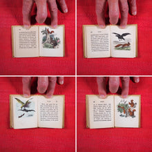 Load image into Gallery viewer, Voyages et aventures de Bob l'écureuil. Texte traduit de l'anglais. >>MINIATURE FRENCH BOOK OF A SQUIRREL<< Publication Date: 1834 CONDITION: VERY GOOD