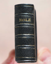 Load image into Gallery viewer, Holy Bible containing Old and New testaments. Bryce, David & Son. Glasgow. 1896.>>Gorgeously rebound English miniature Bible<<
