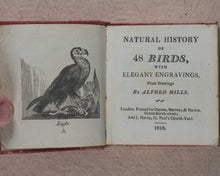 Load image into Gallery viewer, Miniature Historic Library, in Eight volumes. Early illustrated miniature children's books in oak chest. Alfred Mills. Darton and Harvey. London. 1807-