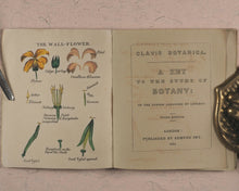 Load image into Gallery viewer, Clavis Botanica. A Key to the Study of Botany: on the System arranged by Linnaeus. Fry, Edmund, Houndsditch. London. 1834.