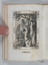 Load image into Gallery viewer, Bibliothèque Amusante de la Jeunesse. Aventures. Marcilly aîné, Rue St. Jacques no. 10. Paris. Circa 1838.