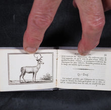 Load image into Gallery viewer, Petit Naturaliste. Marcilly. Rue St. Jacques, no. 10. Paris. 1829.