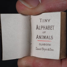 Load image into Gallery viewer, My Tiny Alphabet Book Bryce, David & Son. Glasgow. 1896. 2volumes in one.