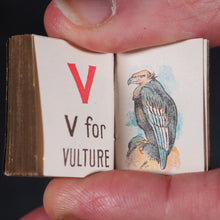 Load image into Gallery viewer, My Tiny Alphabet Book Bryce, David & Son. Glasgow. 1896. 2volumes in one.