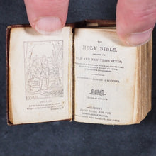 Load image into Gallery viewer, Holy Bible containing Old and New testaments: Translated Out Of The Original Tongues. Glasgow: David Bryce & Son. London: Henry Frowde. Oxford University Press Warehouse, Amen Corner. 1901. 1911 Coronation Bible.