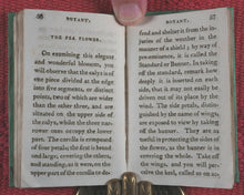Load image into Gallery viewer, Familiar introduction to botany. Illustrated with copper-plates. John Wallis. London. Printed by T. Gillet. 1803.
