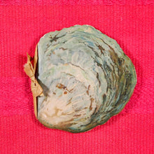 Load image into Gallery viewer, Sea Pearls and other poems Published by London: Ernest Nister/ New York: E. P. Dutton CONDITION: very good