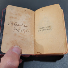 Load image into Gallery viewer, Knowledge in a Nutshell. Published by David Bryce & Co.