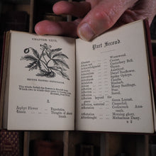 Load image into Gallery viewer, Miniature language of flowers. Burke, Anna Christian. Publication Date: 1864 CONDITION: VERY GOOD