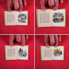 Load image into Gallery viewer, Voyages et aventures de Bob l&#39;écureuil. Texte traduit de l&#39;anglais. &gt;&gt;MINIATURE FRENCH BOOK OF A SQUIRREL&lt;&lt; Publication Date: 1834 CONDITION: VERY GOOD
