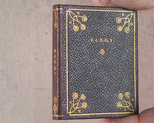 Miniature Series boxed set 10 finely bound miniature books. Oscar Wilde; Oliver Goldsmith; Thomas Gray; Edgar A. Poe; Rudyard Kipling; Omar Khayyam; John G. Whittier; Elizabeth B. Browning; Oliver Goldsmith; James R. Lowell. Thomas Y. Crowell Co. N.Y.1911