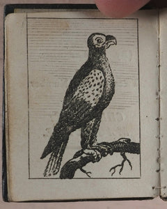 Marshall, John. Infant's Library. [Book 8] (Birds). Marshall, John. No. 4 Aldermary Churchyard in Watling Street. London. Circa 1800