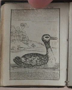 Marshall, John. Infant's Library. [Book 8] (Birds). Marshall, John. No. 4 Aldermary Churchyard in Watling Street. London. Circa 1800