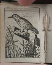 Load image into Gallery viewer, Marshall, John. Infant&#39;s Library. [Book 8] (Birds). Marshall, John. No. 4 Aldermary Churchyard in Watling Street. London. Circa 1800
