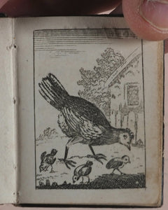 Marshall, John. Infant's Library. [Book 8] (Birds). Marshall, John. No. 4 Aldermary Churchyard in Watling Street. London. Circa 1800