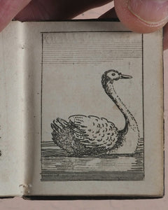 Marshall, John. Infant's Library. [Book 8] (Birds). Marshall, John. No. 4 Aldermary Churchyard in Watling Street. London. Circa 1800