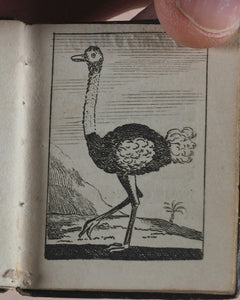 Marshall, John. Infant's Library. [Book 8] (Birds). Marshall, John. No. 4 Aldermary Churchyard in Watling Street. London. Circa 1800