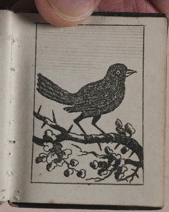 Marshall, John. Infant's Library. [Book 8] (Birds). Marshall, John. No. 4 Aldermary Churchyard in Watling Street. London. Circa 1800