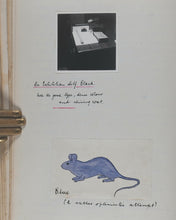 Load image into Gallery viewer, Hoare, H.Ronald.  Mouse Fancy, its Nature and Content; with special reference to Genetics. [typed manuscript]. London. [1954].&gt;&gt;Very curious unpublished monograph on fancy mice&lt;&lt;
