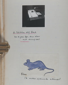 Hoare, H.Ronald.  Mouse Fancy, its Nature and Content; with special reference to Genetics. [typed manuscript]. London. [1954].>>Very curious unpublished monograph on fancy mice<<