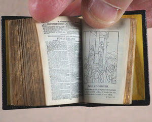 Holy Bible containing Old and New testaments. Bryce, David & Son. Glasgow. 1896.>>Gorgeously rebound English miniature Bible<<