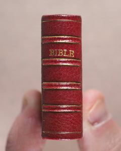 Holy Bible containing Old and New testaments. Bryce, David & Son. Glasgow. 1901. >>Fabulously rebound miniature English Bible<<