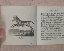 Load image into Gallery viewer, Mills, Alfred. Natural History of 48 Quadrupeds. Darton, Harvey &amp; Darton and J. Harris. London. 1815.
