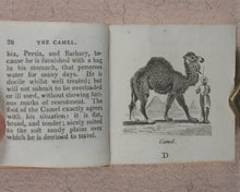 Load image into Gallery viewer, Mills, Alfred. Natural History of 48 Quadrupeds. Darton, Harvey &amp; Darton and J. Harris. London. 1815.
