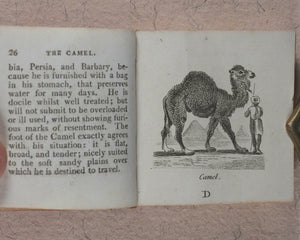 Mills, Alfred. Natural History of 48 Quadrupeds. Darton, Harvey & Darton and J. Harris. London. 1815.