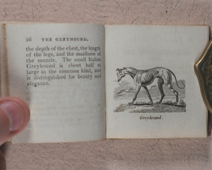 Mills, Alfred. Natural History of 48 Quadrupeds. Darton, Harvey & Darton and J. Harris. London. 1815.