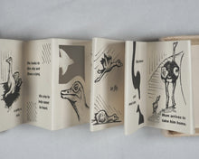 Load image into Gallery viewer, Berwick, Andrew, writen and illustrated by. The Lost Ostrich.  Self-published. 2010.
