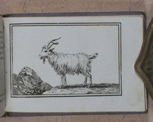 Load image into Gallery viewer, Petit Naturaliste. Marcilly. Rue St. Jacques, no. 10. Paris. No date but 1829.
