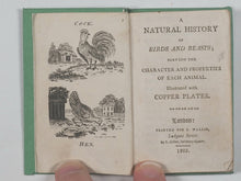 Load image into Gallery viewer, Book-case of Knowledge, or Library for Youth]. Wallis, John. Cundee, J. [or T. Gillet], printers. London. 1800-1803.2
