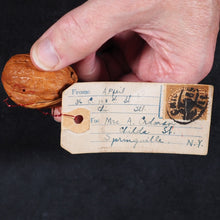 Load image into Gallery viewer, World's Fair in a Nutshell. A Century of Progress. Gale Specialty Co. Chicago. 1932.
