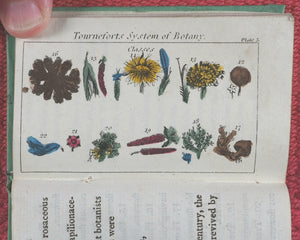 Familiar introduction to botany. Illustrated with copper-plates. John Wallis. London. Printed by T. Gillet. 1803.