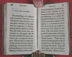 Familiar introduction to botany. Illustrated with copper-plates. John Wallis. London. Printed by T. Gillet. 1803.
