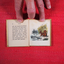 Load image into Gallery viewer, Voyages et aventures de Bob l&#39;écureuil. Texte traduit de l&#39;anglais. &gt;&gt;MINIATURE FRENCH BOOK OF A SQUIRREL&lt;&lt; Publication Date: 1834 CONDITION: VERY GOOD
