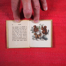 Load image into Gallery viewer, Voyages et aventures de Bob l&#39;écureuil. Texte traduit de l&#39;anglais. &gt;&gt;MINIATURE FRENCH BOOK OF A SQUIRREL&lt;&lt; Publication Date: 1834 CONDITION: VERY GOOD
