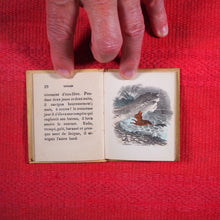 Load image into Gallery viewer, Voyages et aventures de Bob l&#39;écureuil. Texte traduit de l&#39;anglais. &gt;&gt;MINIATURE FRENCH BOOK OF A SQUIRREL&lt;&lt; Publication Date: 1834 CONDITION: VERY GOOD
