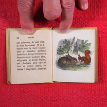 Load image into Gallery viewer, Voyages et aventures de Bob l&#39;écureuil. Texte traduit de l&#39;anglais. &gt;&gt;MINIATURE FRENCH BOOK OF A SQUIRREL&lt;&lt; Publication Date: 1834 CONDITION: VERY GOOD
