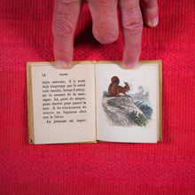 Load image into Gallery viewer, Voyages et aventures de Bob l&#39;écureuil. Texte traduit de l&#39;anglais. &gt;&gt;MINIATURE FRENCH BOOK OF A SQUIRREL&lt;&lt; Publication Date: 1834 CONDITION: VERY GOOD
