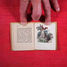 Load image into Gallery viewer, Voyages et aventures de Bob l&#39;écureuil. Texte traduit de l&#39;anglais. &gt;&gt;MINIATURE FRENCH BOOK OF A SQUIRREL&lt;&lt; Publication Date: 1834 CONDITION: VERY GOOD
