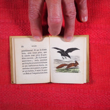 Load image into Gallery viewer, Voyages et aventures de Bob l&#39;écureuil. Texte traduit de l&#39;anglais. &gt;&gt;MINIATURE FRENCH BOOK OF A SQUIRREL&lt;&lt; Publication Date: 1834 CONDITION: VERY GOOD
