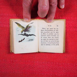 Voyages et aventures de Bob l'écureuil. Texte traduit de l'anglais. >>MINIATURE FRENCH BOOK OF A SQUIRREL<< Publication Date: 1834 CONDITION: VERY GOOD