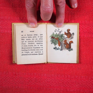 Voyages et aventures de Bob l'écureuil. Texte traduit de l'anglais. >>MINIATURE FRENCH BOOK OF A SQUIRREL<< Publication Date: 1834 CONDITION: VERY GOOD