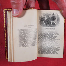 Load image into Gallery viewer, Poetical works of John Milton &gt;&gt;MINIATURE SIGNED BINDING&lt;&lt; Milton, John. Publication Date: 1840 CONDITION: VERY GOOD
