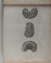 Load image into Gallery viewer, The Works, in Natural History, of the late Rev. Gilbert White. Printed for J. White, Fleet Stret, by T. Bansley, Bolt Court. 1802.
