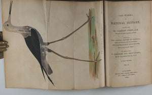 The Works, in Natural History, of the late Rev. Gilbert White. Printed for J. White, Fleet Stret, by T. Bansley, Bolt Court. 1802.