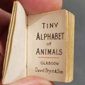 My Tiny Alphabet Book, c1900