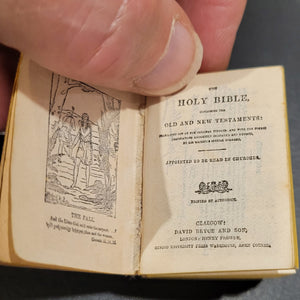 The Coronation Bible, c1902  The Holy Bible Containing the Old and New Testaments Translated out of the Original Tongues... by His Majesty's Special Command.  Bound in purple cloth